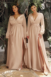 Doreen Long Sleeve Bridesmaid Dress in Sienna Doreen 7407475KK-Nude